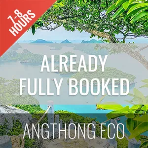 <b>**Hot Deal 30%**</b></br> Angthong Marine Park Economy Tour