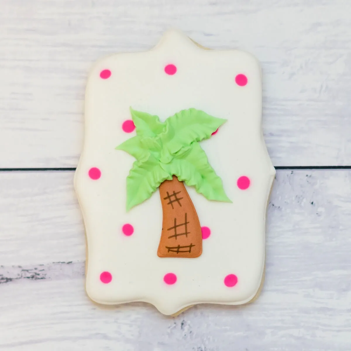 Summer Cookie Collection | Tropical Wishes